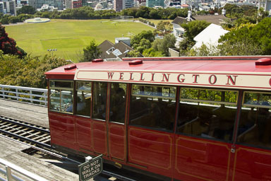 Wellington Botanic Garden