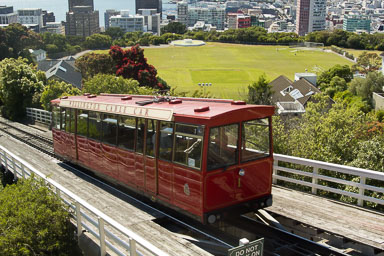 0105-WellingtonBotanicGarden-0023.jpg