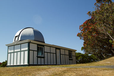 0105-WellingtonBotanicGarden-0030.jpg