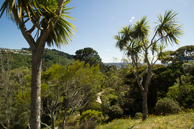 0105-WellingtonBotanicGarden-0038.jpg