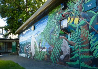 Wellington Botanic Garden