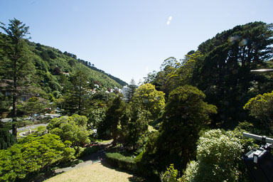 0105-WellingtonBotanicGarden-0079.jpg