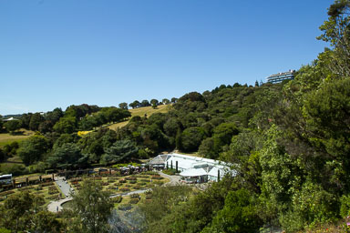0105-WellingtonBotanicGarden-0100.jpg