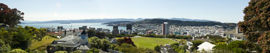 WellingtonBotanicGarden_Panorama1.jpg