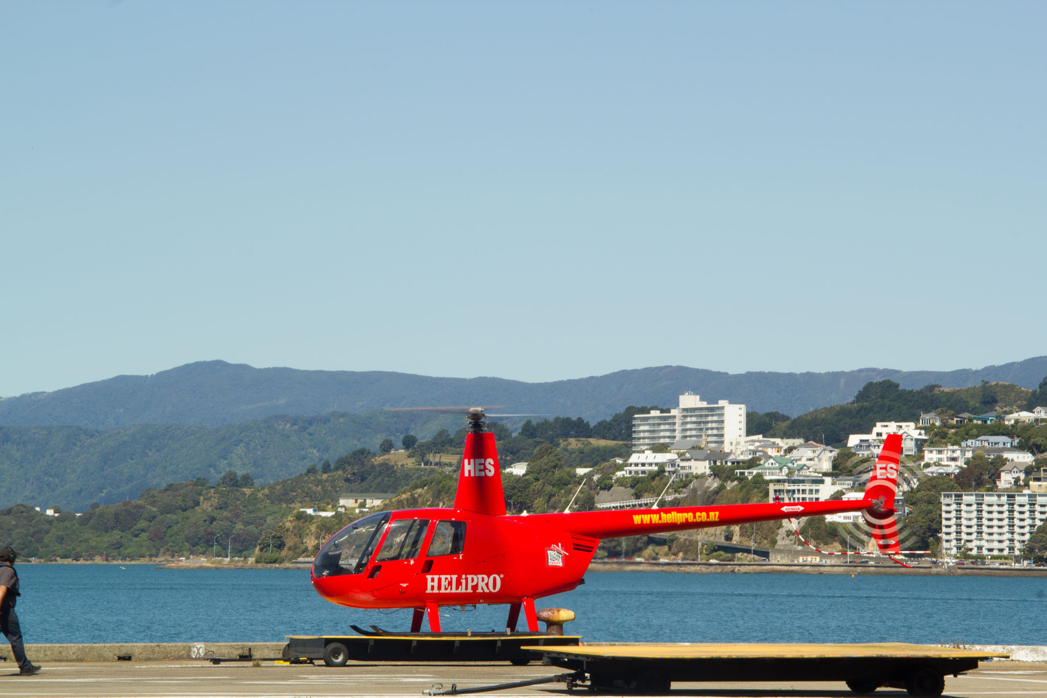0105-Wellington-0090.jpg