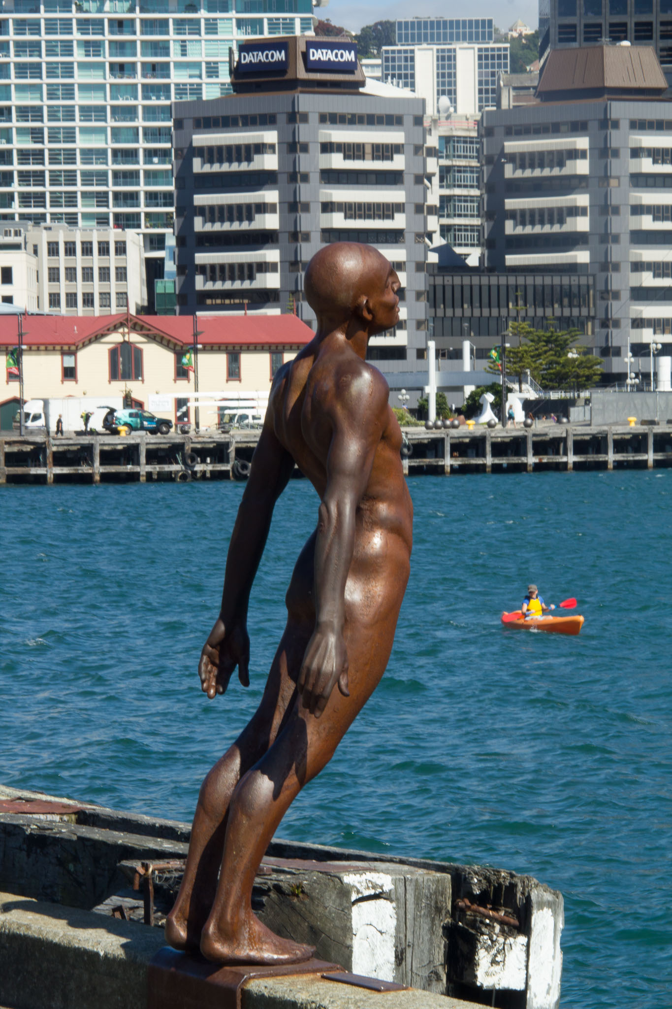 0106-WellingtonMtVictoria-0007.jpg