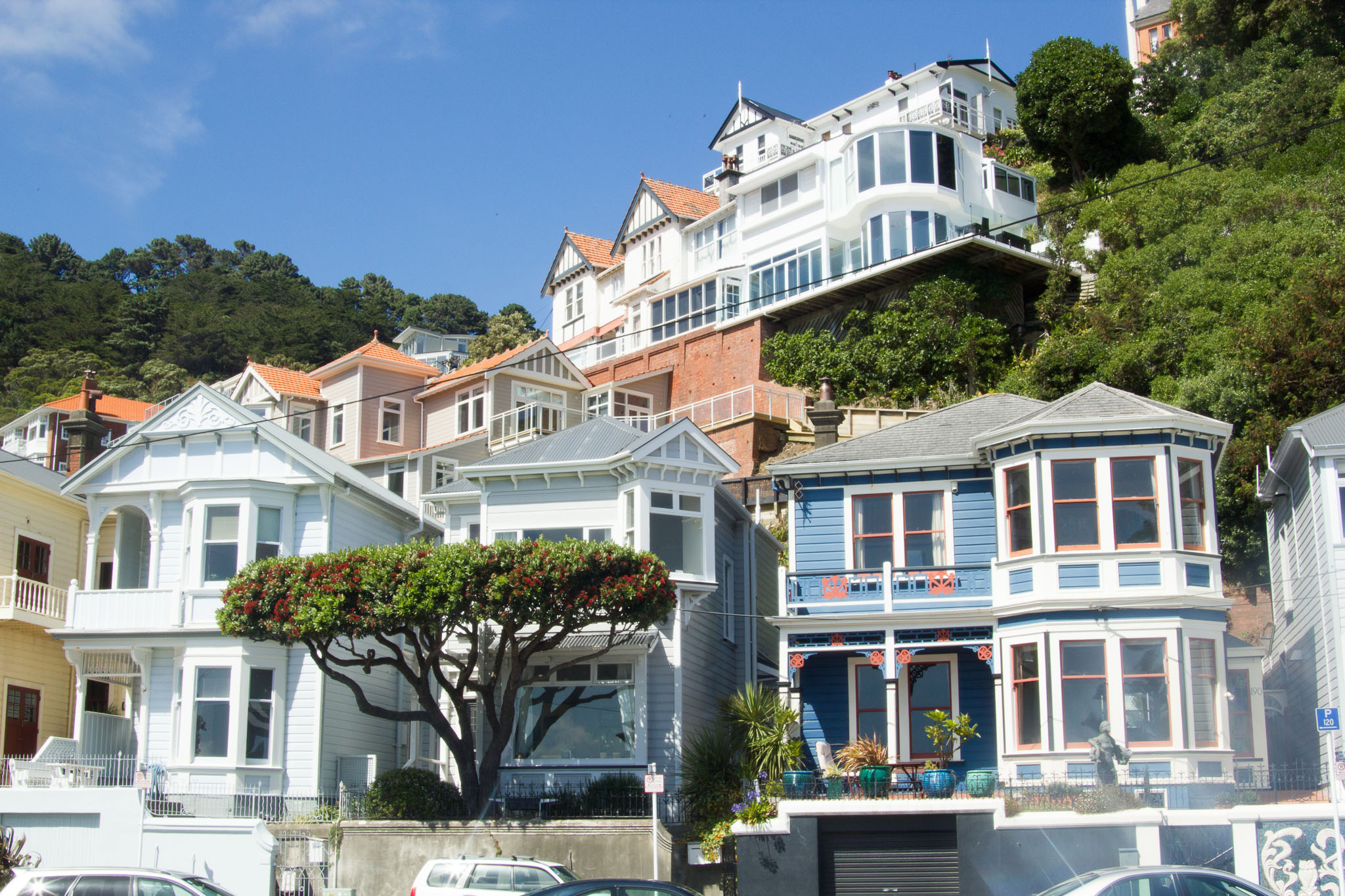0106-WellingtonMtVictoria-0032.jpg
