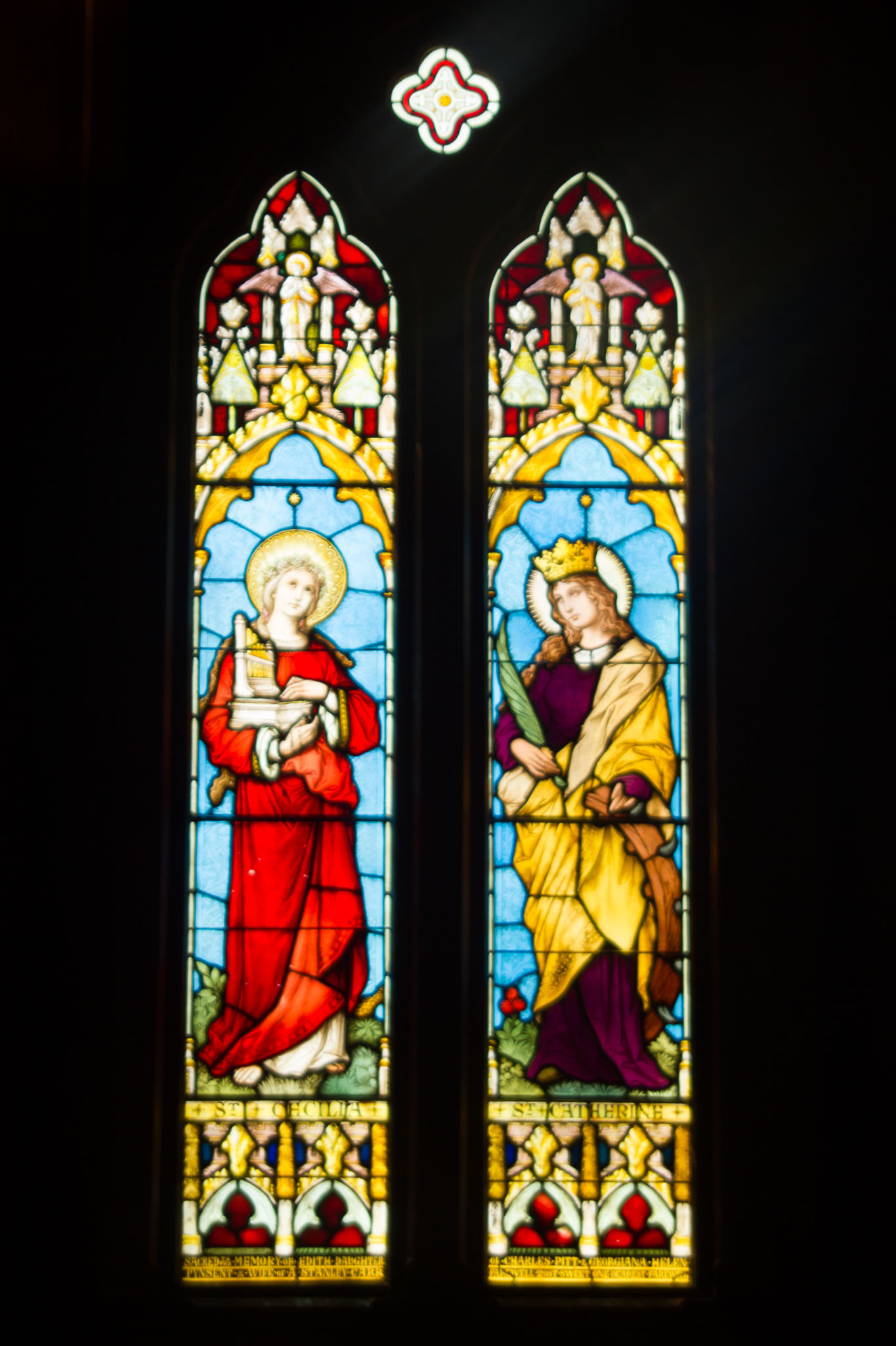0107-WellingtonMtVictoria-0130.jpg