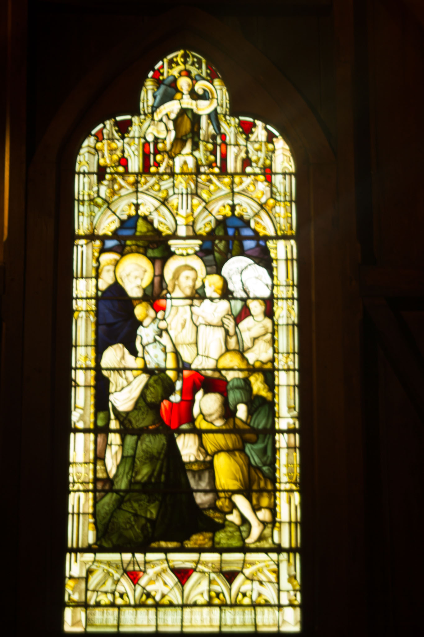 0107-WellingtonMtVictoria-0131.jpg