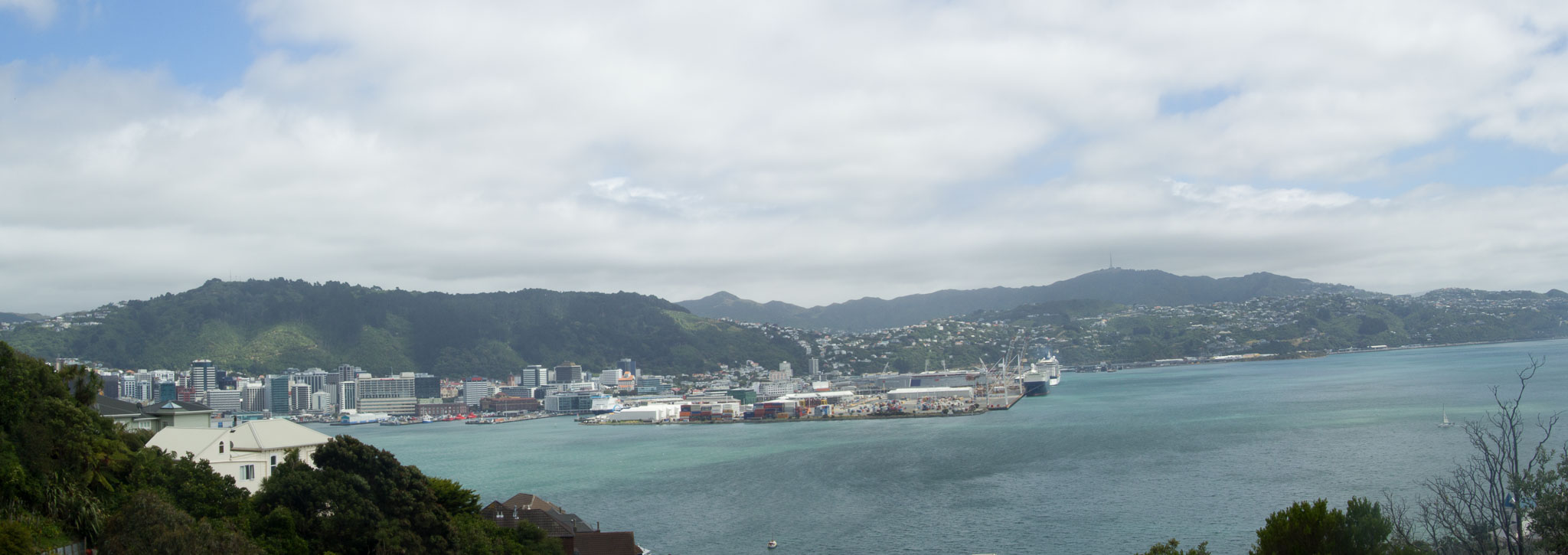 WellingtonMtVictoria_Panorama2.jpg