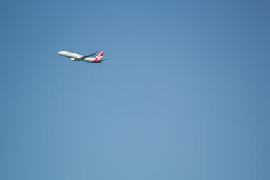 0105-Wellington-0070.jpg