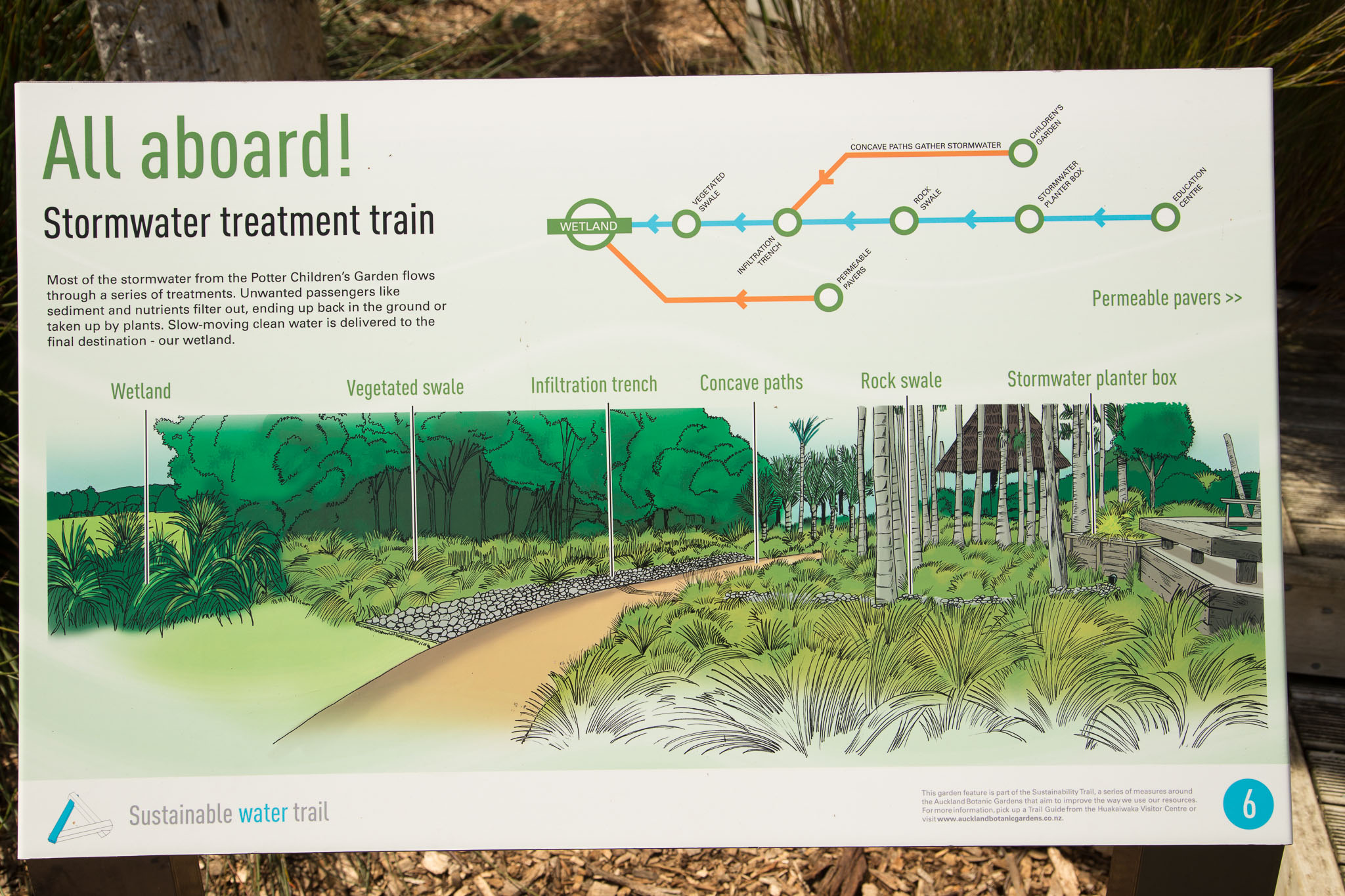 1031-AucklandBotanicGardens-0117.jpg