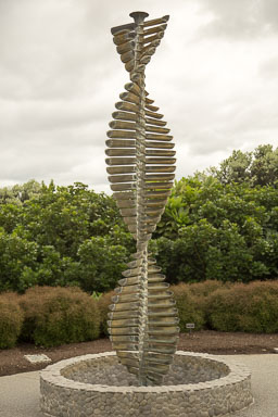 1030-AucklandBotanicGardens-0016.jpg