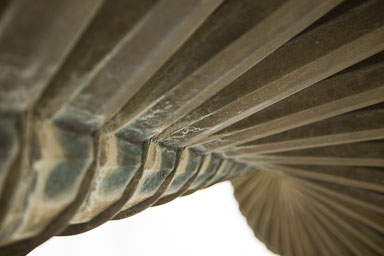1030-AucklandBotanicGardens-0018.jpg