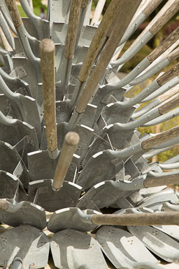 1030-AucklandBotanicGardens-0027.jpg
