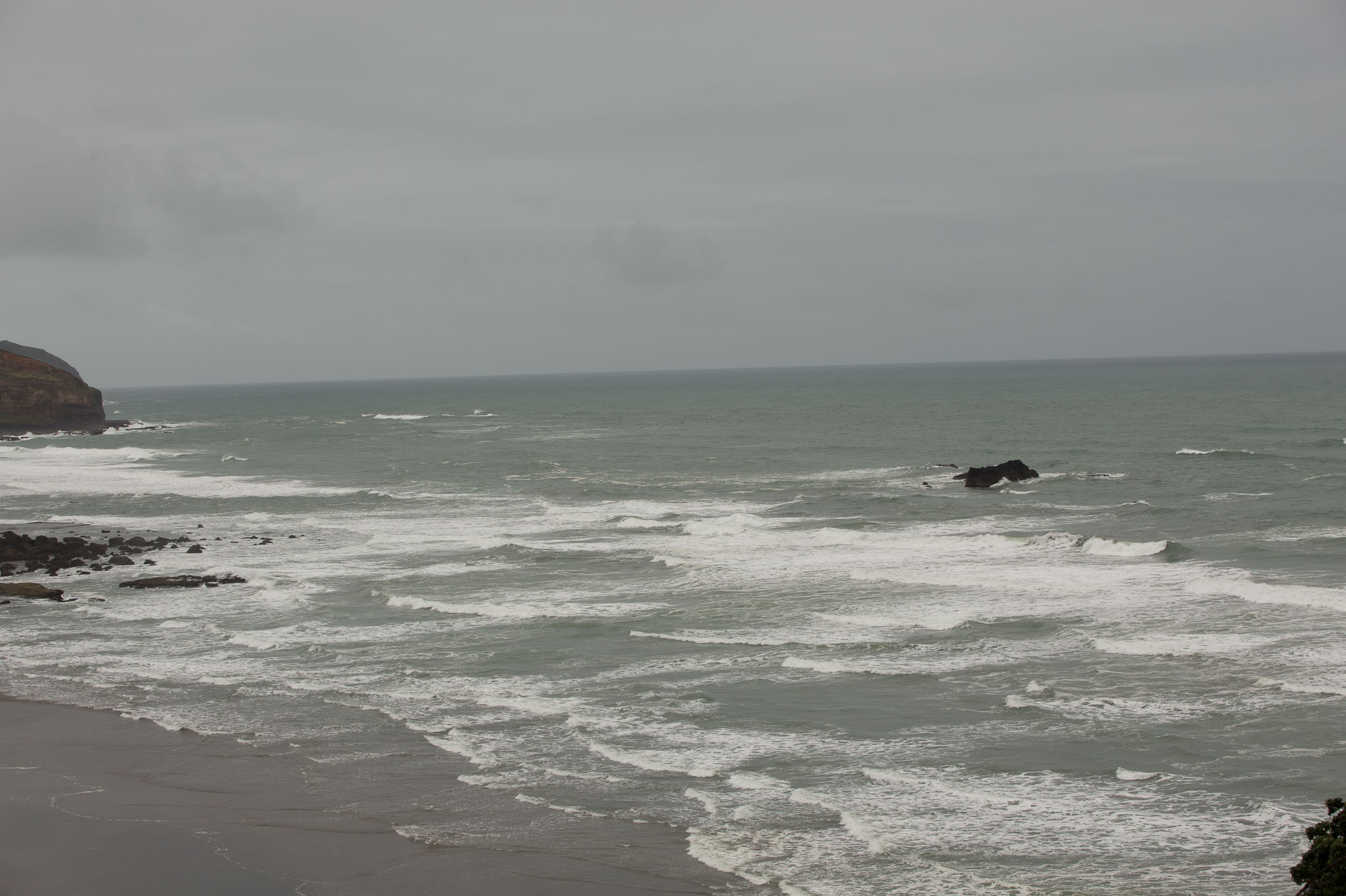 1102-AucklandGanets-0017.jpg