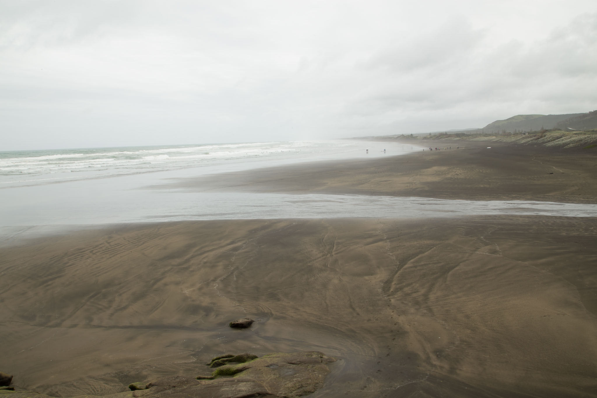 1103-AucklandGanets-0552.jpg