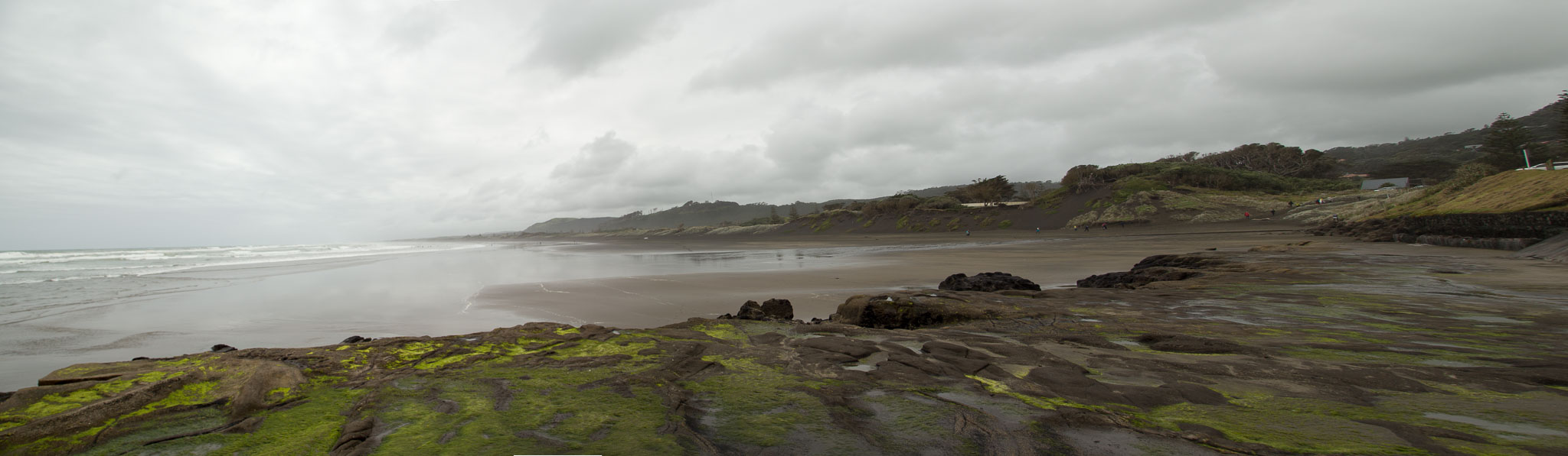 1103-AucklandGanets-0568-pano3.jpg