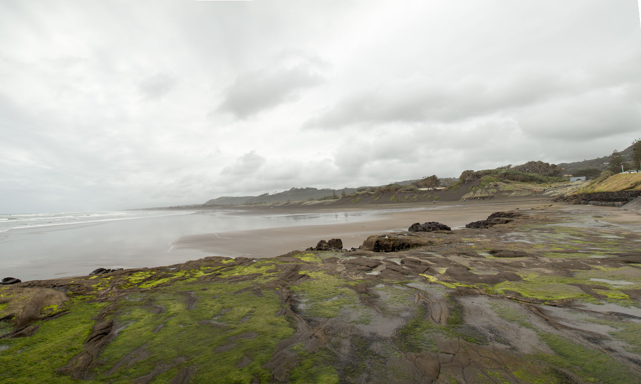 1103-AucklandGanets-0575-pano2.jpg