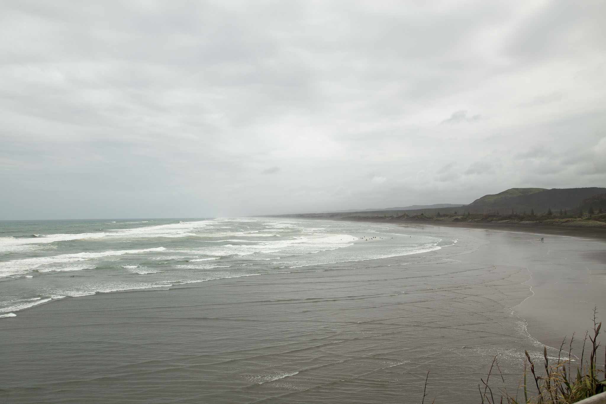 1103-AucklandGanets-0578.jpg