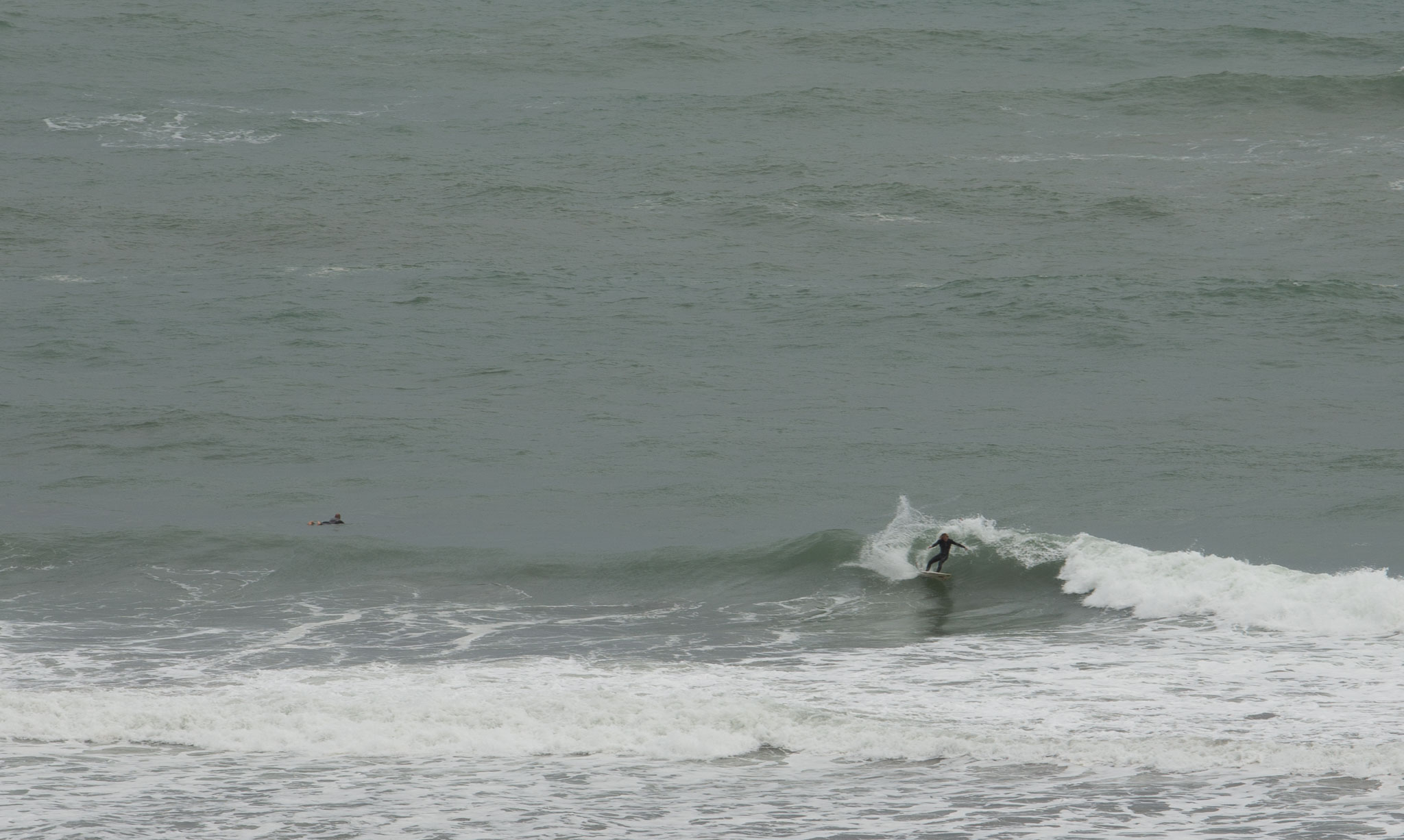 1103-AucklandGanets-0610.jpg
