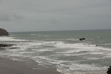 1102-AucklandGanets-0017.jpg