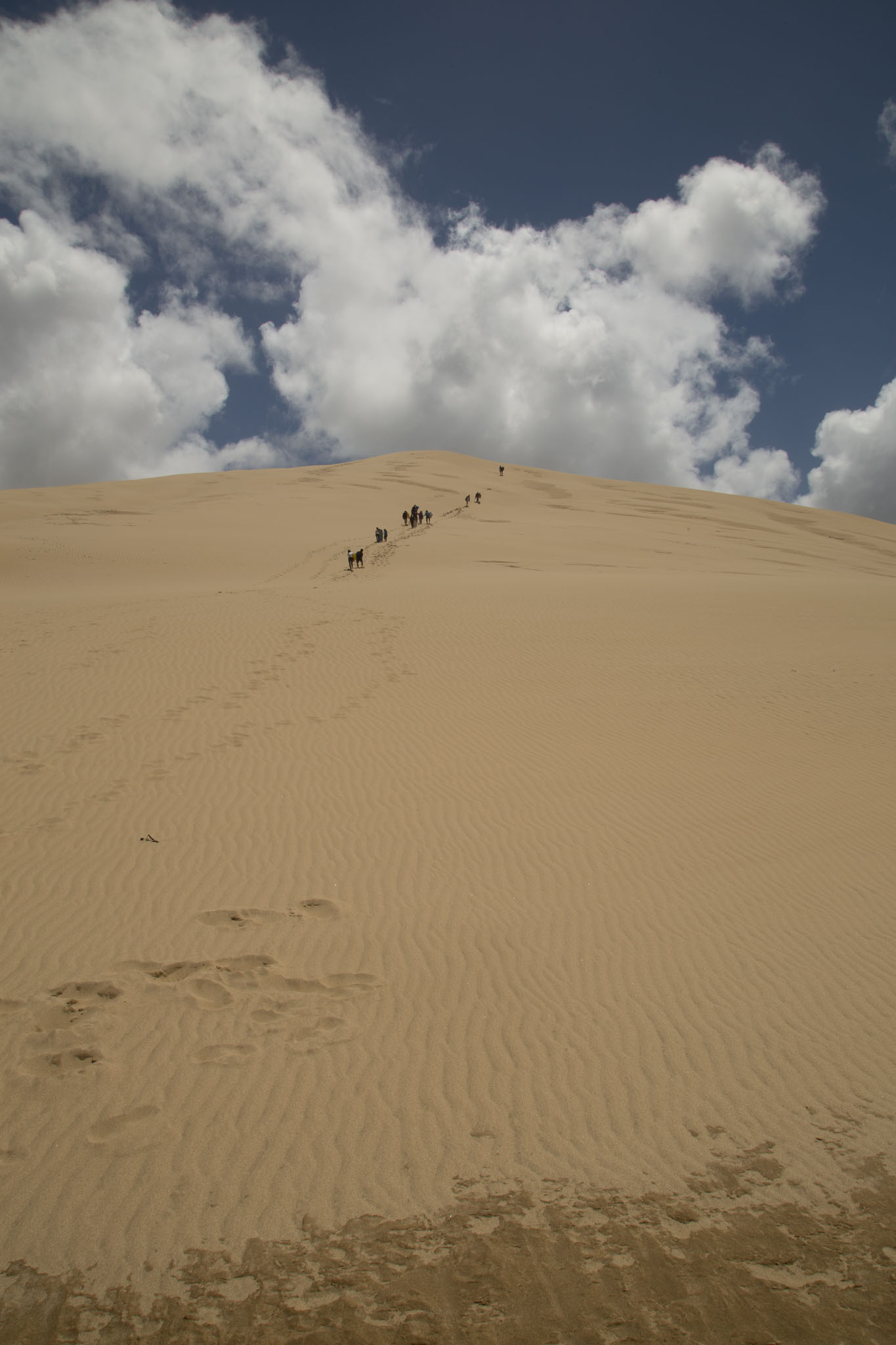 1106-CapeRegia90mileBeach-0167.jpg
