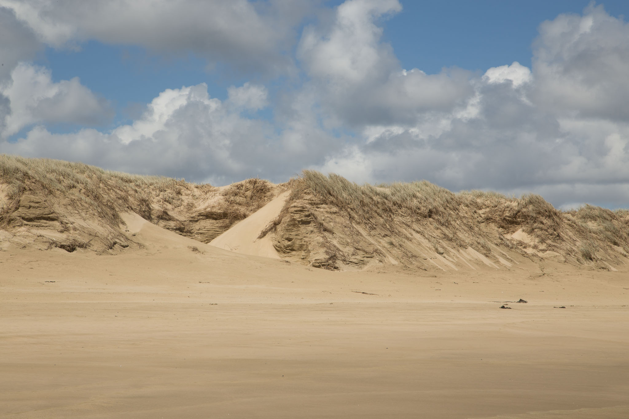 1106-CapeRegia90mileBeach-0288.jpg