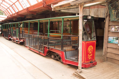 1110-Coramandle-0029.jpg