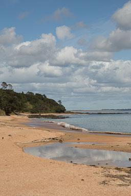 1106-DoublessBay-0020.jpg