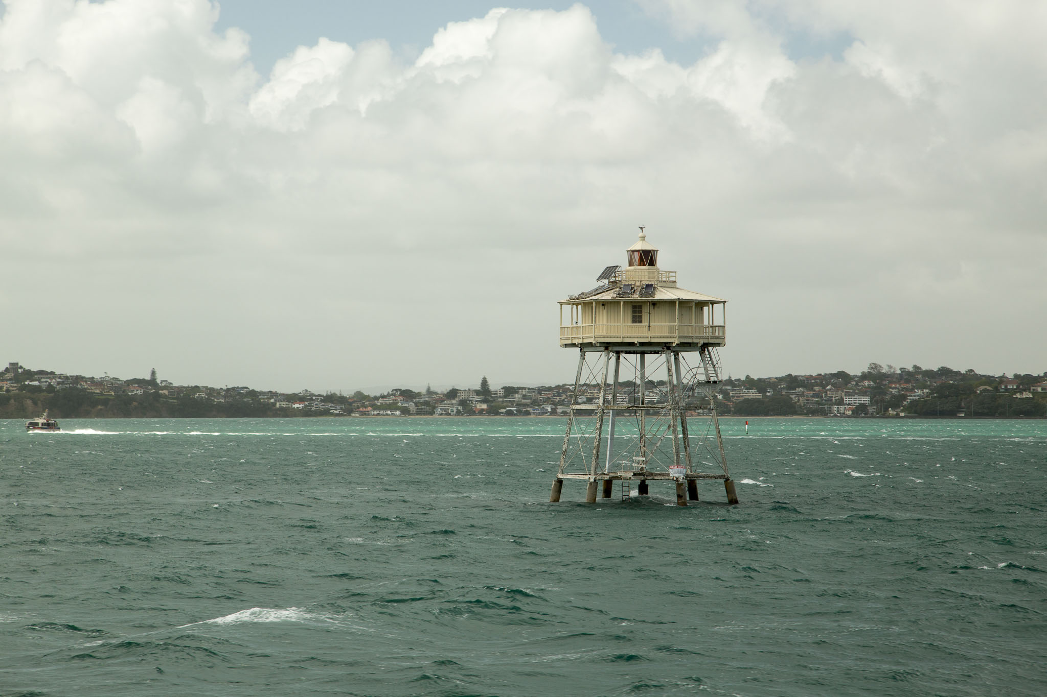 1029-WaihekeIsland-0033.jpg