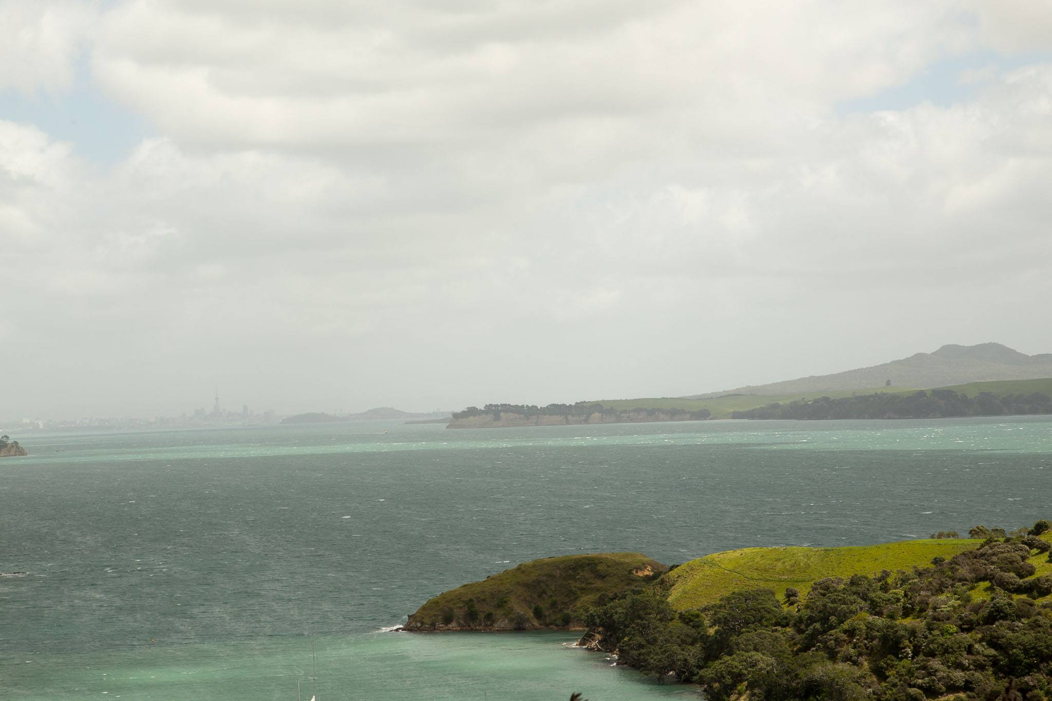 1030-WaihekeIsland-0061.jpg