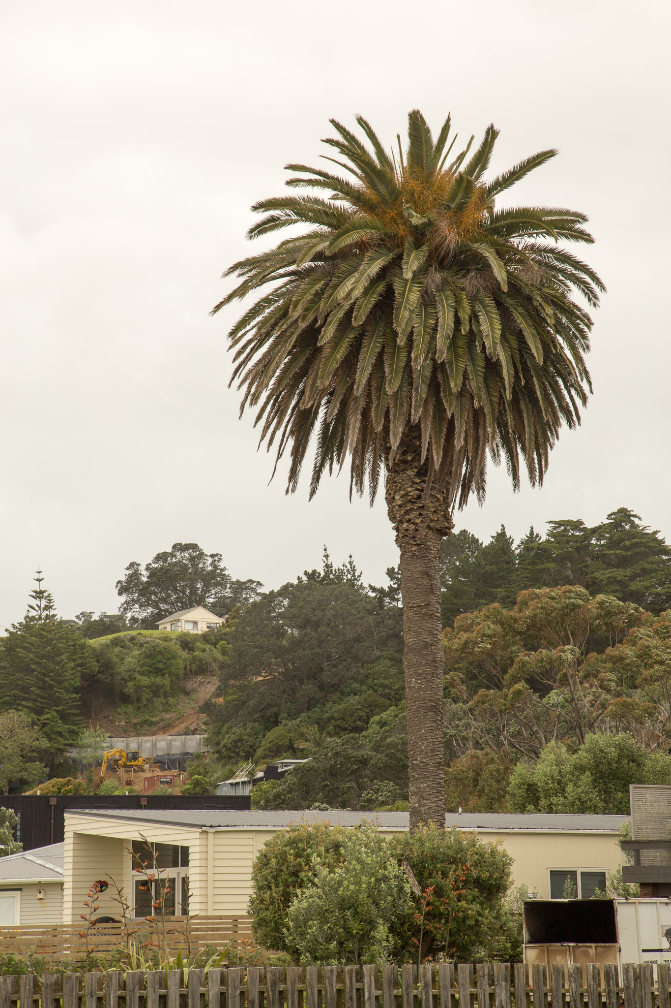 1030-WaihekeIsland-0088.jpg
