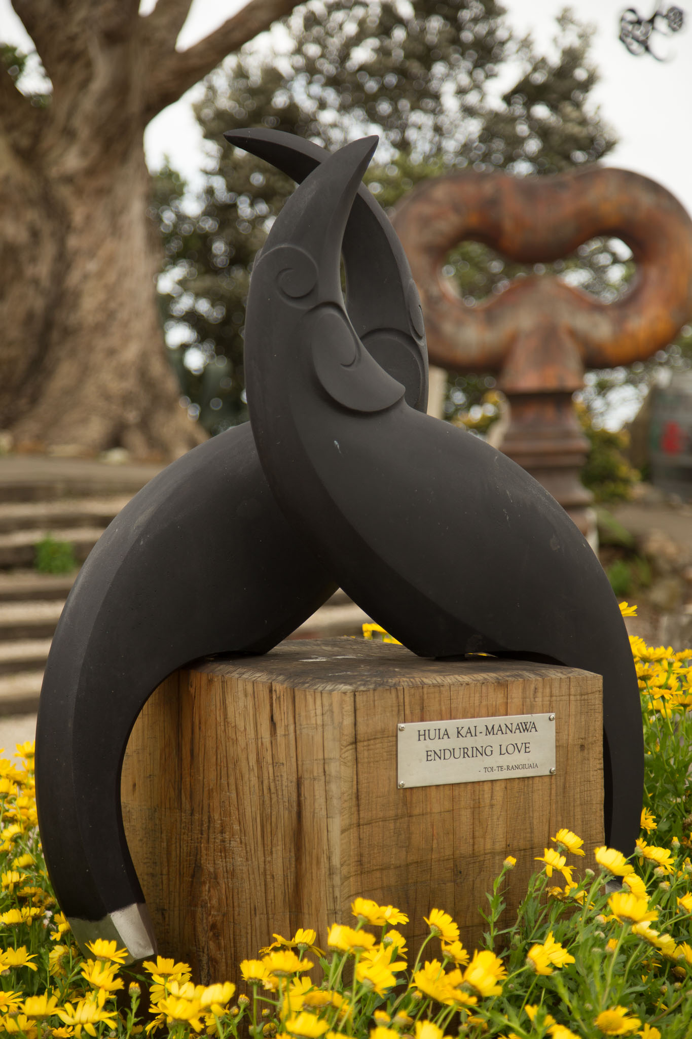 1030-WaihekeIsland-0133.jpg