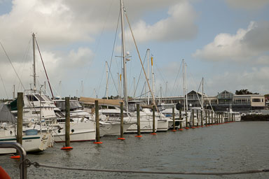 1029-WaihekeIsland-0002.jpg