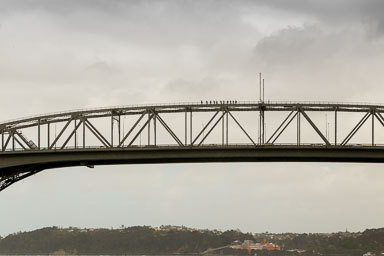1029-WaihekeIsland-0007.jpg