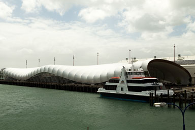 1029-WaihekeIsland-0010.jpg