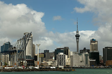 1029-WaihekeIsland-0021.jpg