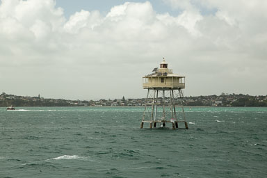 1029-WaihekeIsland-0033.jpg