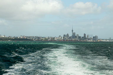 1029-WaihekeIsland-0036.jpg