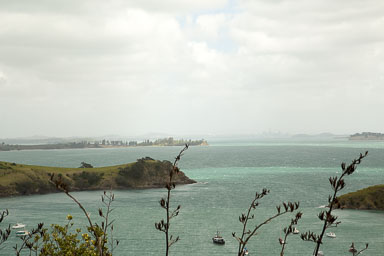1030-WaihekeIsland-0058.jpg