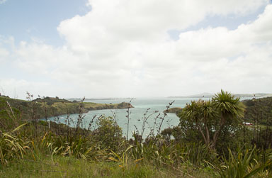 1030-WaihekeIsland-0059.jpg