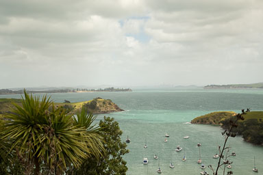 1030-WaihekeIsland-0060.jpg