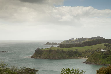 1030-WaihekeIsland-0069.jpg
