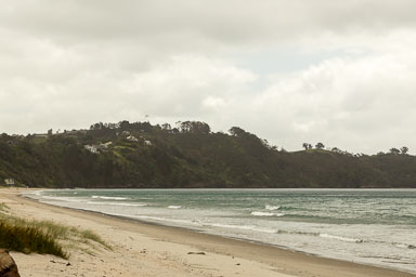 1030-WaihekeIsland-0076.jpg