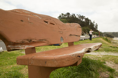 1030-WaihekeIsland-0087.jpg