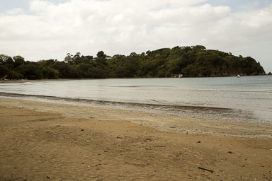 1030-WaihekeIsland-0115.jpg