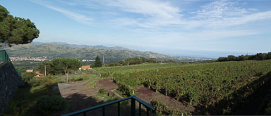 1009-Mount-Etna-0055-Pano.jpg